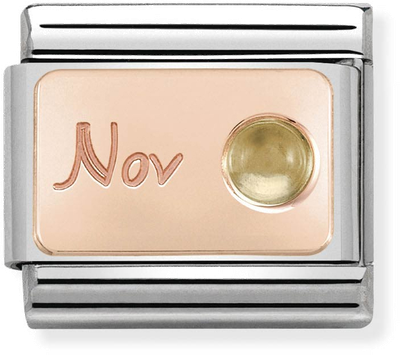 Nomination Classic November Birthstone Citrine 9ct Rose Gold & Steel Charm 430508/11
