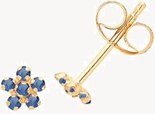 9ct Yellow Gold Blue Cz Flower Stud Earrings ES718S