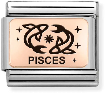 Nomination Classic Pisces 9ct Rose Gold & Steel Charm 430112/12