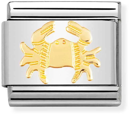 Nomination Classic Cancer 18ct Gold & Steel Charm 030104/04
