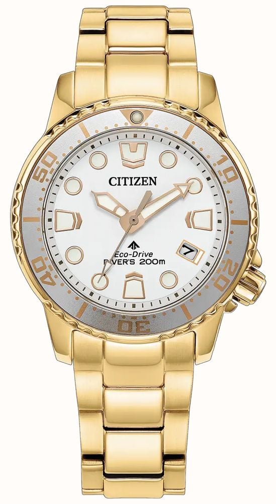 Citizen EO2029-54A
