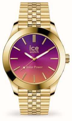 Purple and gold watch hotsell