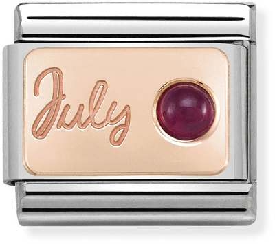 Nomination Classic July Birthstone Ruby 9ct Rose Gold & Steel Charm 430508/07