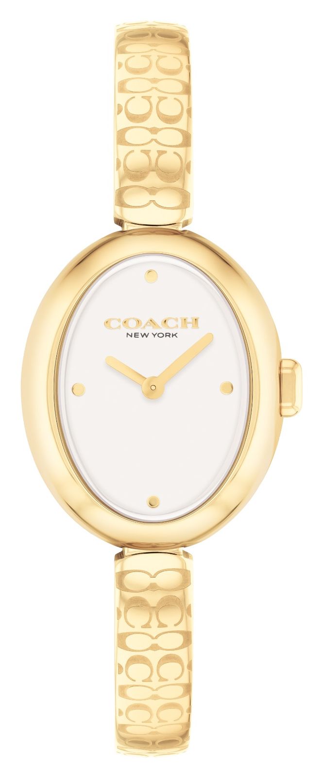 Coach Sammy (22,5 mm) zilveren wijzerplaat / gouden PVD horloge-image-168654