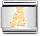 Nomination Classic Aquarius 18ct Gold & Steel Charm 030104/11