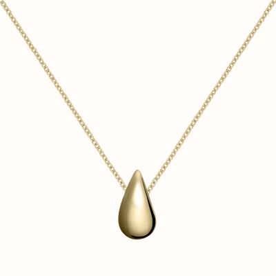 Radley Jewellery 18ct Gold Plated Teardrop Charm Necklace RYJ2504S