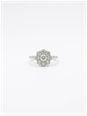 0.50ct Round Brilliant Natural Diamond 18ct White Gold Cluster Ring SL8493