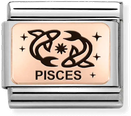 Nomination Classic Pisces 9ct Rose Gold & Steel Charm 430112/12
