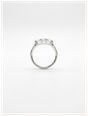 Round Brilliant Natural Diamond Platinum Trilogy Ring JM1401 - alternate view 3