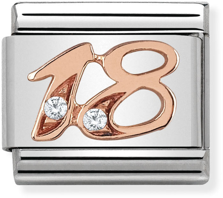 Nomination Classic 18 9ct Rose Gold & Steel Charm 430315/18