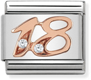Nomination Classic 18 9ct Rose Gold & Steel Charm 430315/18