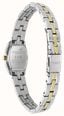Olivia Burton 18mm Cambridge Champagne Dial // Two Tone Bracelet 24000391 - vista alternativa 5