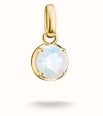 Thomas Sabo THOMAS SABO Charm Club Connect 18ct Yellow Gold Plated June Birthstone Charm CC1334-M01-14