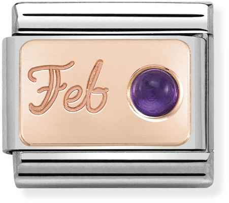 Nomination Classic February Birthstone Amethyst 9ct Rose Gold & Steel Charm 430508/02