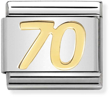 Nomination Classic 70 18ct Gold & Steel Charm 030109/38