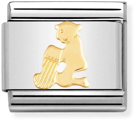Nomination Classic Aquarius 18ct Gold & Steel Charm 030104/11