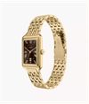 Fossil Raquel (23mm) Brown Dial / Gold PVD Stainless Steel Bracelet ES5434 ES5540 - альтернативный вид 2