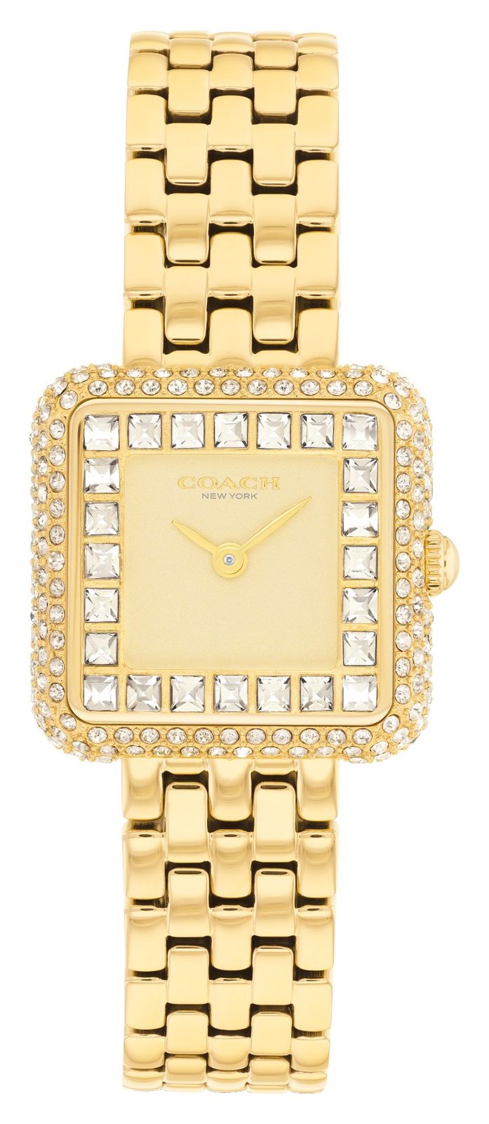 Coach Cass Ã  quartz deux aiguilles (24,2 mm), cadran montre