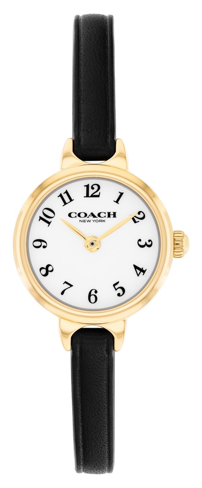 Coach Iris, Ã  quartz deux aiguilles (22,5 mm), montre