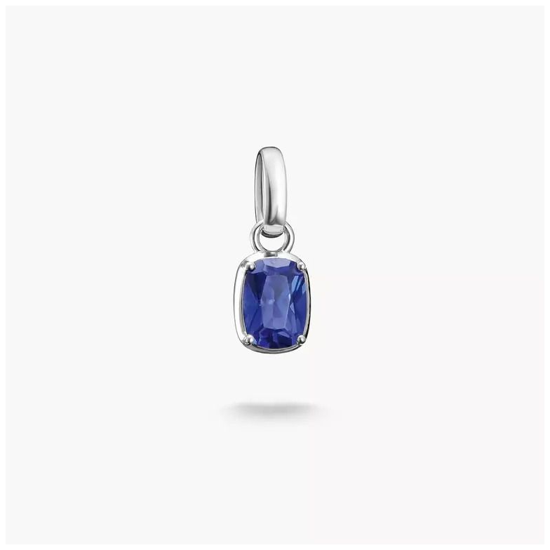 Thomas Sabo CC1337-699-1 juwelen