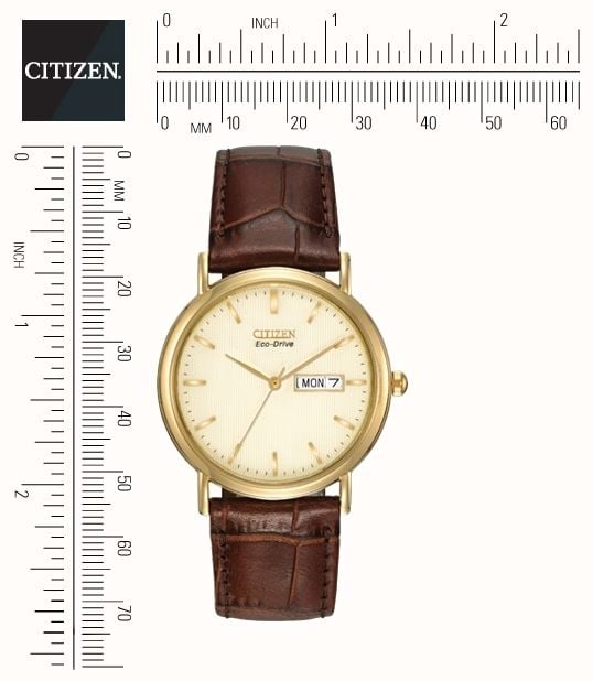 Citizen Men's Brown Strap Champagne Dial Watch BM8242-08P - First
