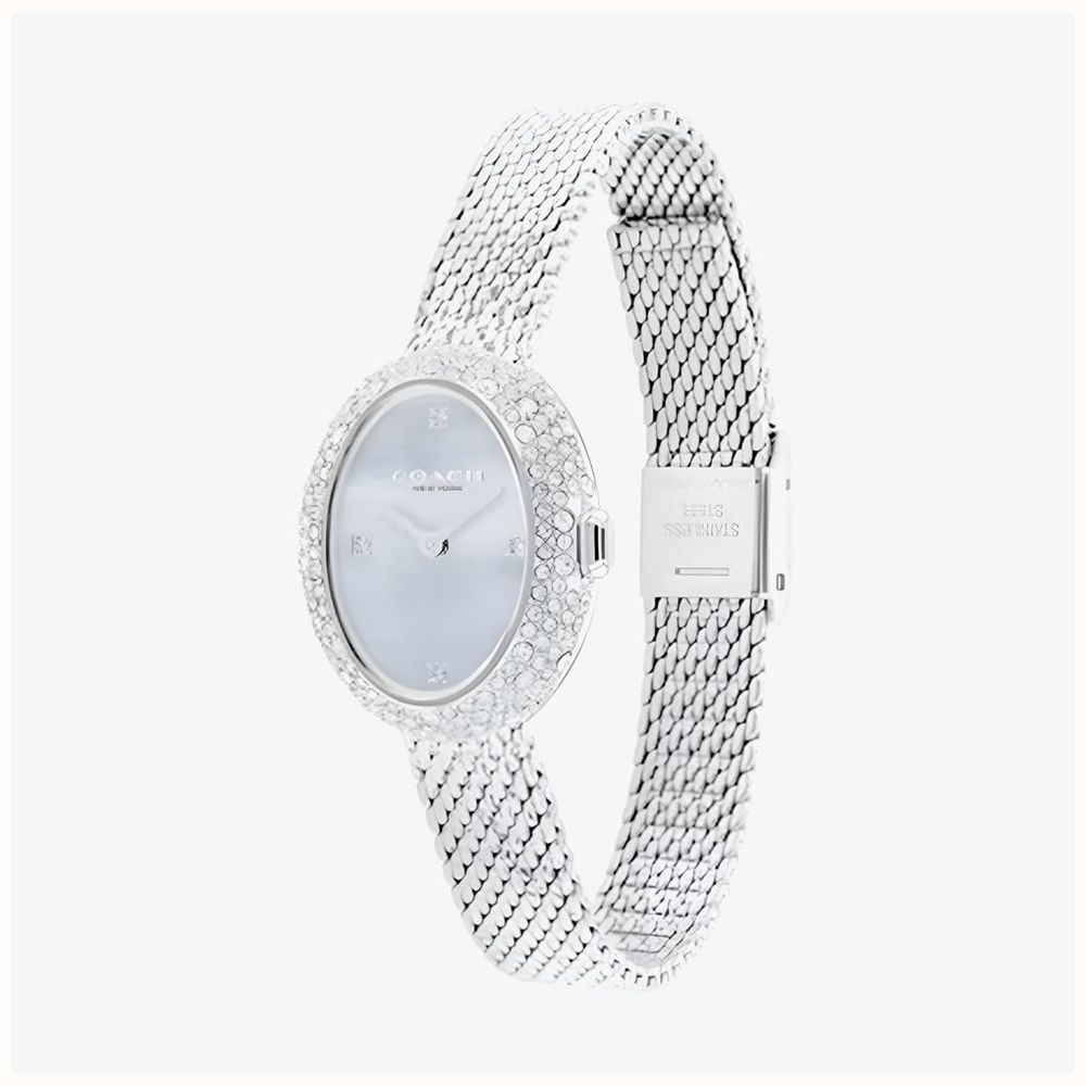 Coach Ladies Sammy Light Blue Dial Crystal Set Oval Mesh Bracelet Watch 14504689 - alternative Ansicht 2