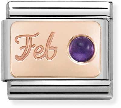 Nomination Classic February Birthstone Amethyst 9ct Rose Gold & Steel Charm 430508/02