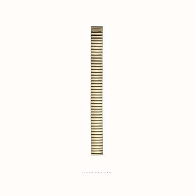 Hamilton Straps Ladies Bracelet-Set Steel ONLY Gold H695000032