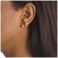 Calvin Klein Ladiea Gold-Tone Duo Stud Earrings 35000979 - vista alternativa 2