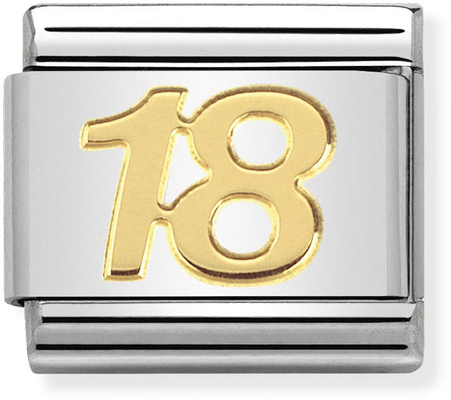 Nomination Classic 18 18ct Gold & Steel Charm 030109/34