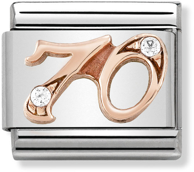 Nomination Classic 70 Charm Steel Zircon And 9ct Rose Gold Charm 430315/70