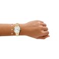 Armani Exchange Quartz Watch & Bracelet Gift Set (36mm) Silver Sunray Dial / Gold PVD Stainless Steel Bracelet AX7185SET - alternative Ansicht 4