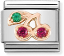 Nomination Classic Cherry 9ct Rose Gold & Steel Charm 430305/17