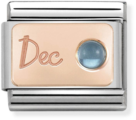 Nomination Classic December Birthstone Topaz 9ct Rose Gold & Steel Charm 430508/12