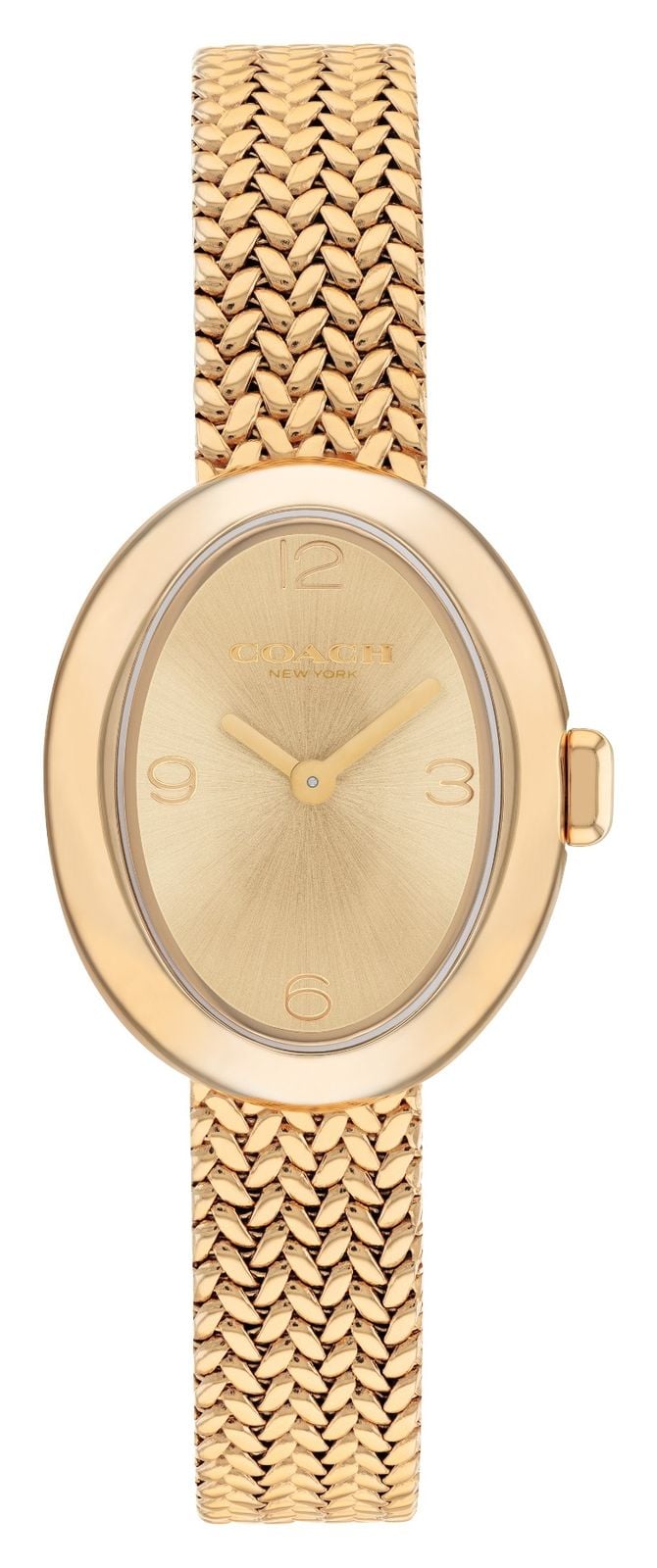Coach Sammy pour femme (22,5 mm) avec cadran dor montre