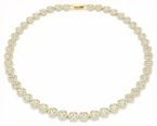 ★SWAROVSKI★ Una Angelic Tennis Gold Tone Necklace 5720505 Amazon.com: Swarovski Una Angelic Necklace with Clear